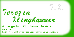 terezia klinghammer business card